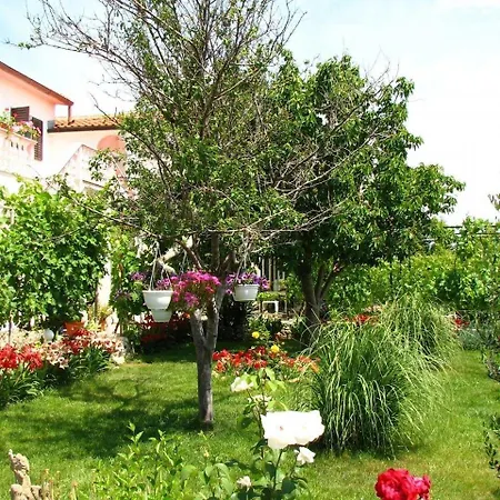 Apartman Kani Nin